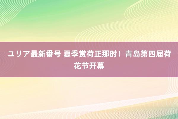 ユリア最新番号 夏季赏荷正那时！青岛第四届荷花节开幕