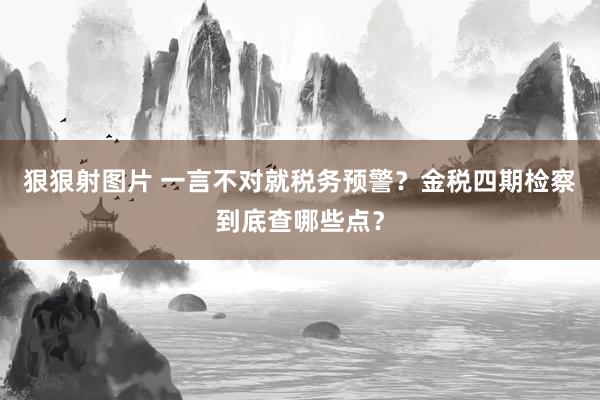 狠狠射图片 一言不对就税务预警？金税四期检察到底查哪些点？