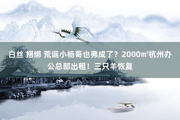 白丝 捆绑 荒诞小杨哥也弗成了？2000㎡杭州办公总部出租！三只羊恢复