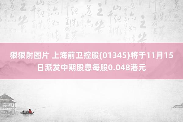 狠狠射图片 上海前卫控股(01345)将于11月15日派发中期股息每股0.048港元