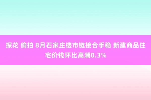 探花 偷拍 8月石家庄楼市链接合手稳 新建商品住宅价钱环比高潮0.3%