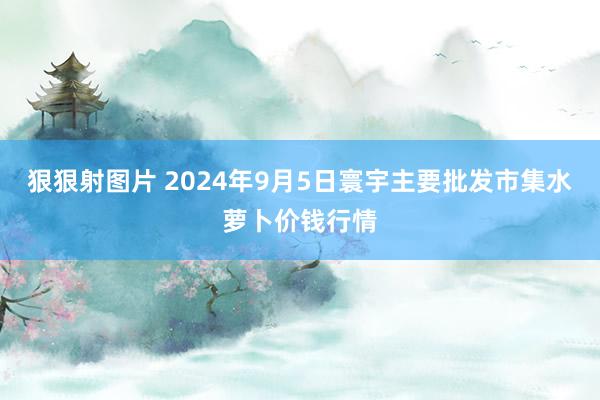 狠狠射图片 2024年9月5日寰宇主要批发市集水萝卜价钱行情