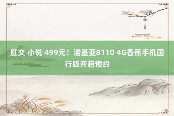 肛交 小说 499元！诺基亚8110 4G香蕉手机国行版开启预约