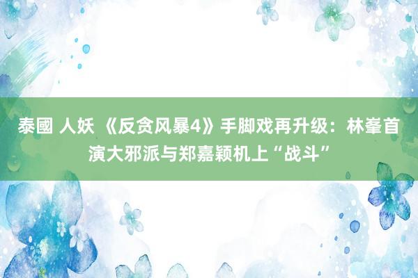 泰國 人妖 《反贪风暴4》手脚戏再升级：林峯首演大邪派与郑嘉颖机上“战斗”