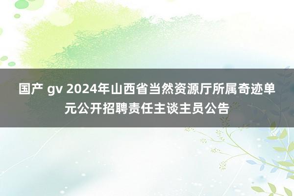 国产 gv 2024年山西省当然资源厅所属奇迹单元公开招聘责任主谈主员公告